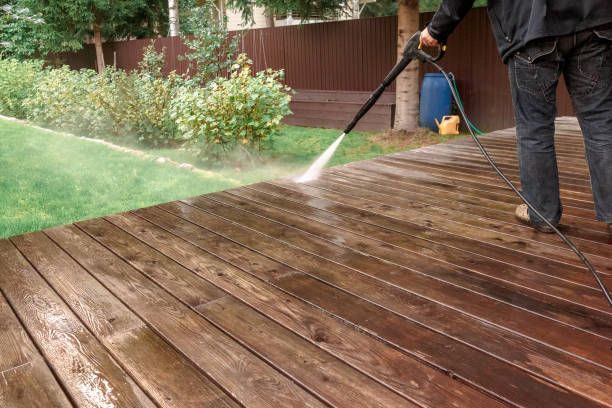 Best Solar Panel Cleaning  in Guin, AL